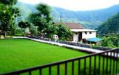 Туры в отель Sterling Riverview Jim Corbett