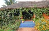Туры в отель Red Earth Kabini
