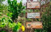 Туры в отель Red Earth Kabini