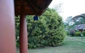 Туры в отель Red Earth Kabini