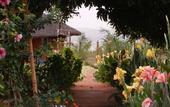 Туры в отель Red Earth Kabini