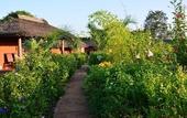 Туры в отель Red Earth Kabini