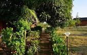 Туры в отель Red Earth Kabini