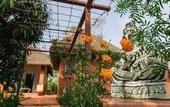 Туры в отель Red Earth Kabini