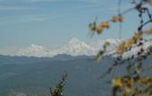 Туры в отель Woodsvilla Residency Ranikhet