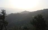 Туры в отель Woodsvilla Residency Ranikhet