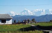 Туры в отель Woodsvilla Residency Ranikhet