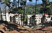 Туры в отель Woodsvilla Residency Ranikhet
