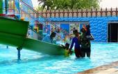 Туры в отель Aapno Ghar Resort