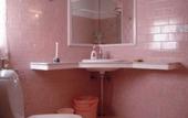 Туры в отель Girisadan Homestay