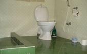 Туры в отель Girisadan Homestay