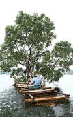 Туры в отель Arayal Resorts: A Unit of Sharoy Resort, Wayanad