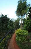 Туры в отель Arayal Resorts: A Unit of Sharoy Resort, Wayanad