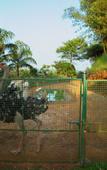 Туры в отель Arayal Resorts: A Unit of Sharoy Resort, Wayanad