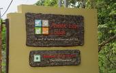 Туры в отель Asiatic Lion Lodge
