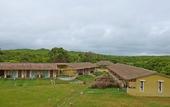 Туры в отель Asiatic Lion Lodge