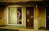 Туры в отель Asiatic Lion Lodge