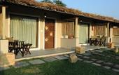 Туры в отель Asiatic Lion Lodge