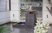 Туры в отель Stately Suites MG Road