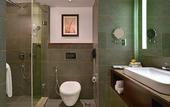 Туры в отель Country Inn & Suites by Radisson, Manipal