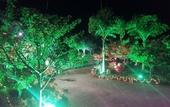 Туры в отель Mulberry Araliayas Resort & Spa
