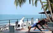 Туры в отель 36 Palms Boutique Retreat