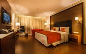 Туры в отель Samanvay Boutique Hotel Udupi