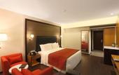 Туры в отель Samanvay Boutique Hotel Udupi