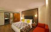 Туры в отель Samanvay Boutique Hotel Udupi