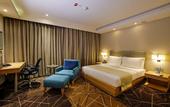 Туры в отель Holiday Inn Chennai OMR IT Expressway by IHG