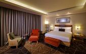 Туры в отель Holiday Inn Chennai OMR IT Expressway by IHG
