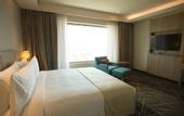 Туры в отель Holiday Inn Chennai OMR IT Expressway by IHG