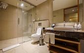 Туры в отель Holiday Inn Chennai OMR IT Expressway by IHG