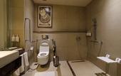 Туры в отель Holiday Inn Chennai OMR IT Expressway by IHG