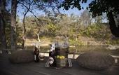 Туры в отель Banjaar Tola, Kanha National Park