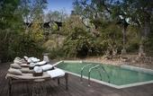 Туры в отель Banjaar Tola, Kanha National Park