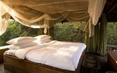 Туры в отель Baghvan, Pench National Park