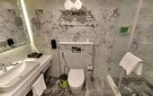 Туры в отель Regenta Central Antarim Ahmedabad