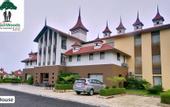 Туры в отель Vishal Lords Inn Gir Forest