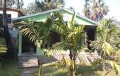Туры в отель Silvanus Forest Retreat