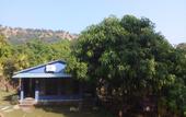 Туры в отель Silvanus Forest Retreat