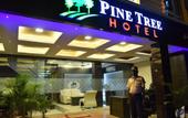 Туры в отель Pine Tree Boutique Hotel near US Consulate & Apollo Hospital
