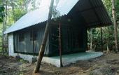 Туры в отель Deep Jungle Home