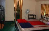Туры в отель Deep Jungle Home