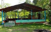 Туры в отель Deep Jungle Home