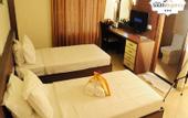 Туры в отель Hotel South Regency