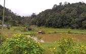 Туры в отель Three Hills Resort & Spa, Coorg