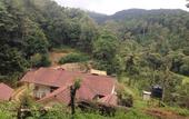 Туры в отель Three Hills Resort & Spa, Coorg
