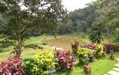 Туры в отель Three Hills Resort & Spa, Coorg
