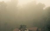 Туры в отель Three Hills Resort & Spa, Coorg